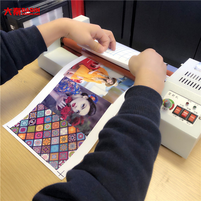 ODM Vinyl Cutter For Decals Phone Skin Cutting Machine