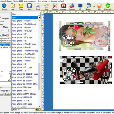 Daqin Custom CE Sticker Cutting Plotter Machine Skin Making Software