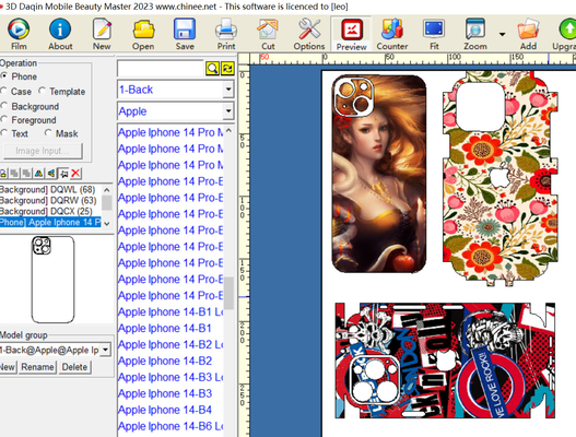 Daqin Laptop / Video Games Pc Beauty Software Customized Stickers